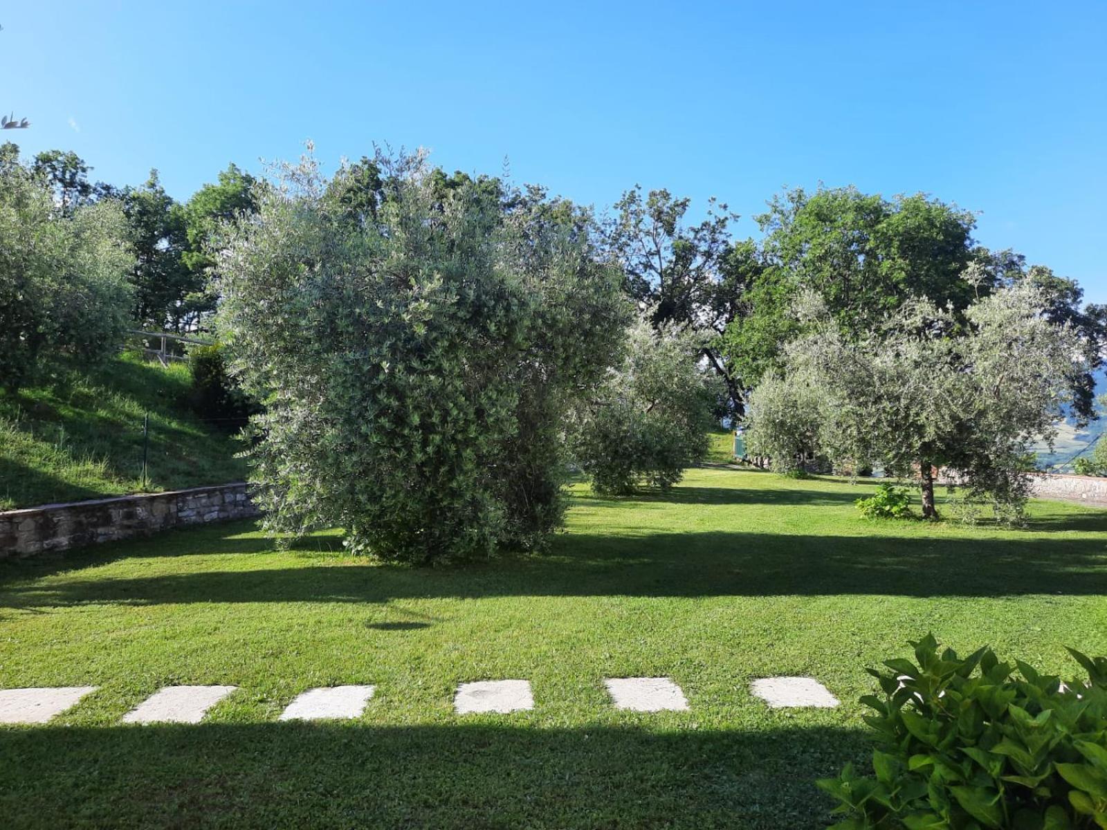 Podere La Casina Poppi Exterior photo