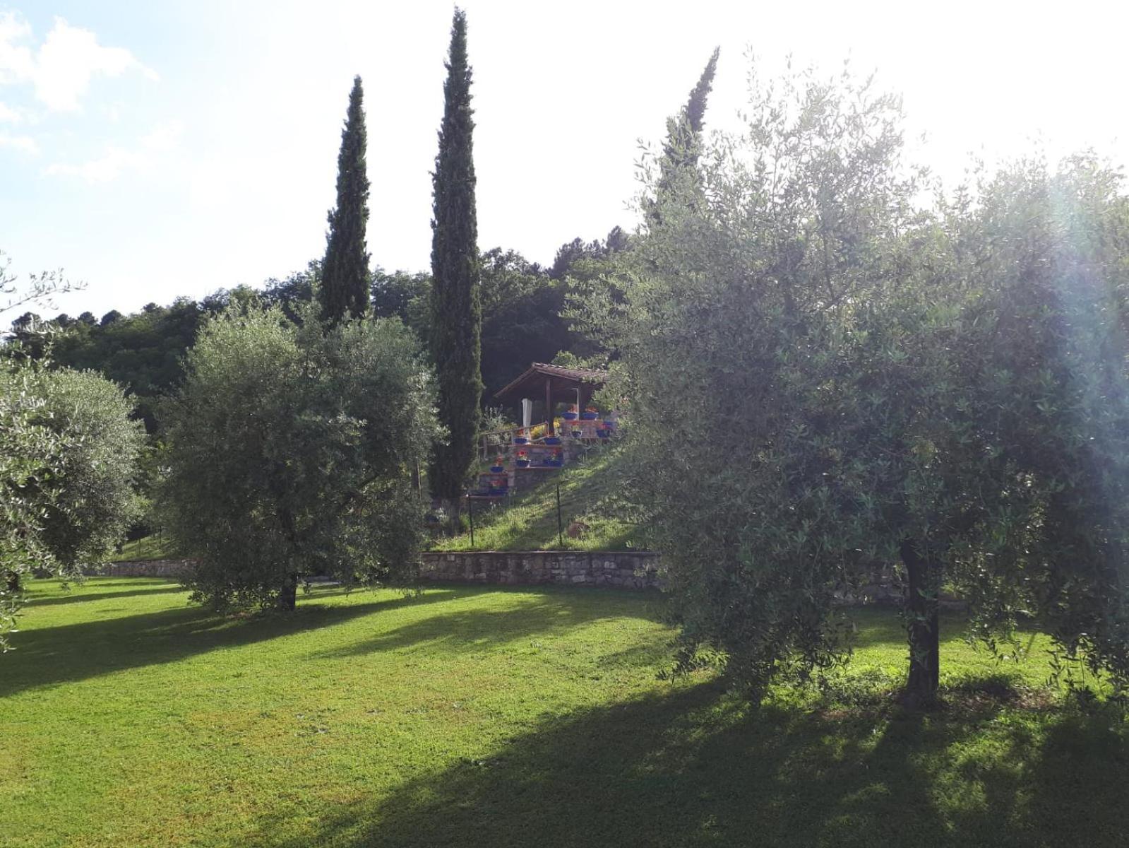 Podere La Casina Poppi Exterior photo